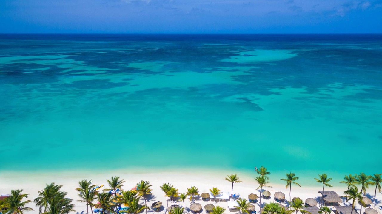 Photo of Outdoor in Palm Beach