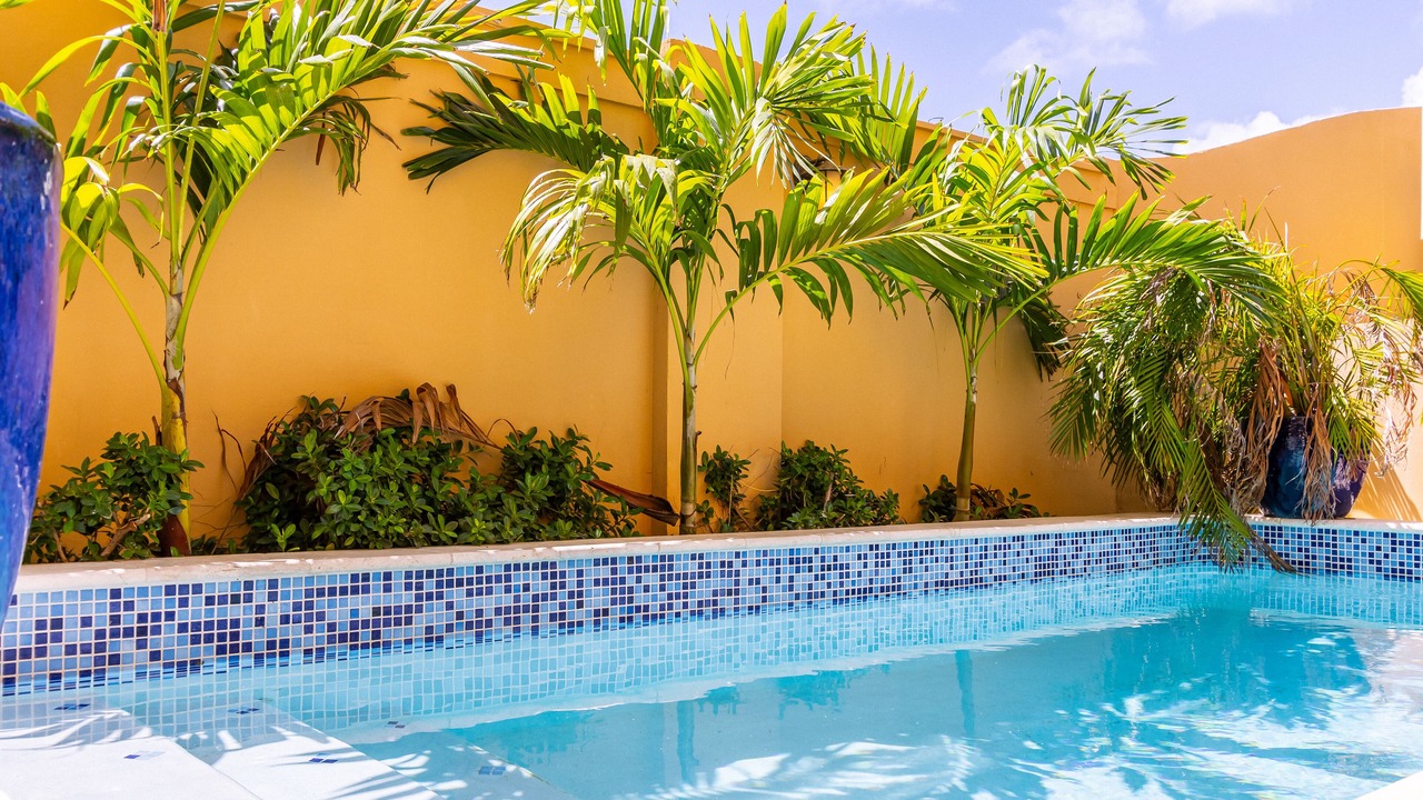 Photo of Outdoor in Gold Coast