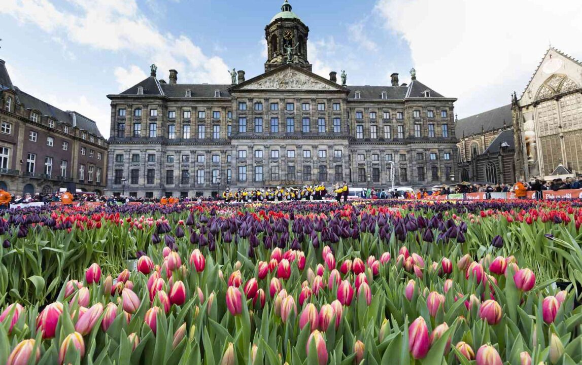 Photo of Others in Zuidas