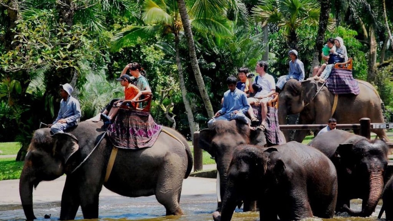Photo of Others in Central Seminyak