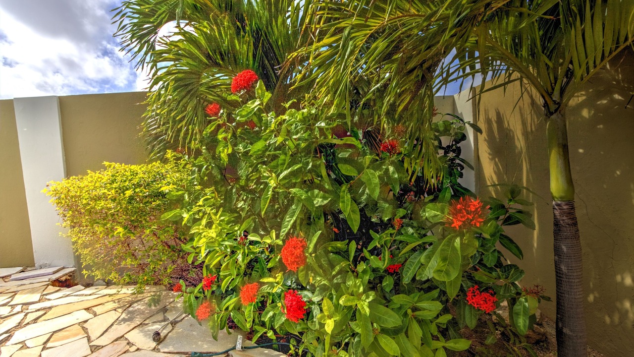 Photo of Outdoor in Noord