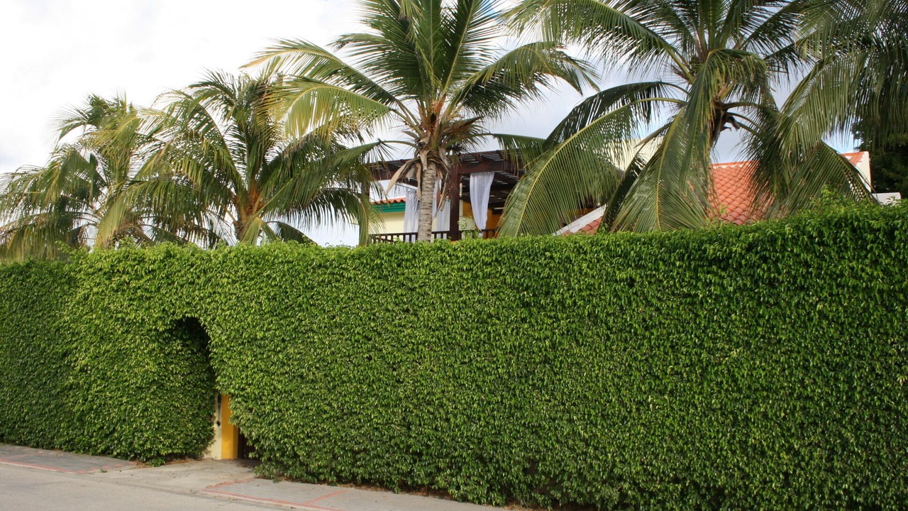 Photo of Others in Palm Beach