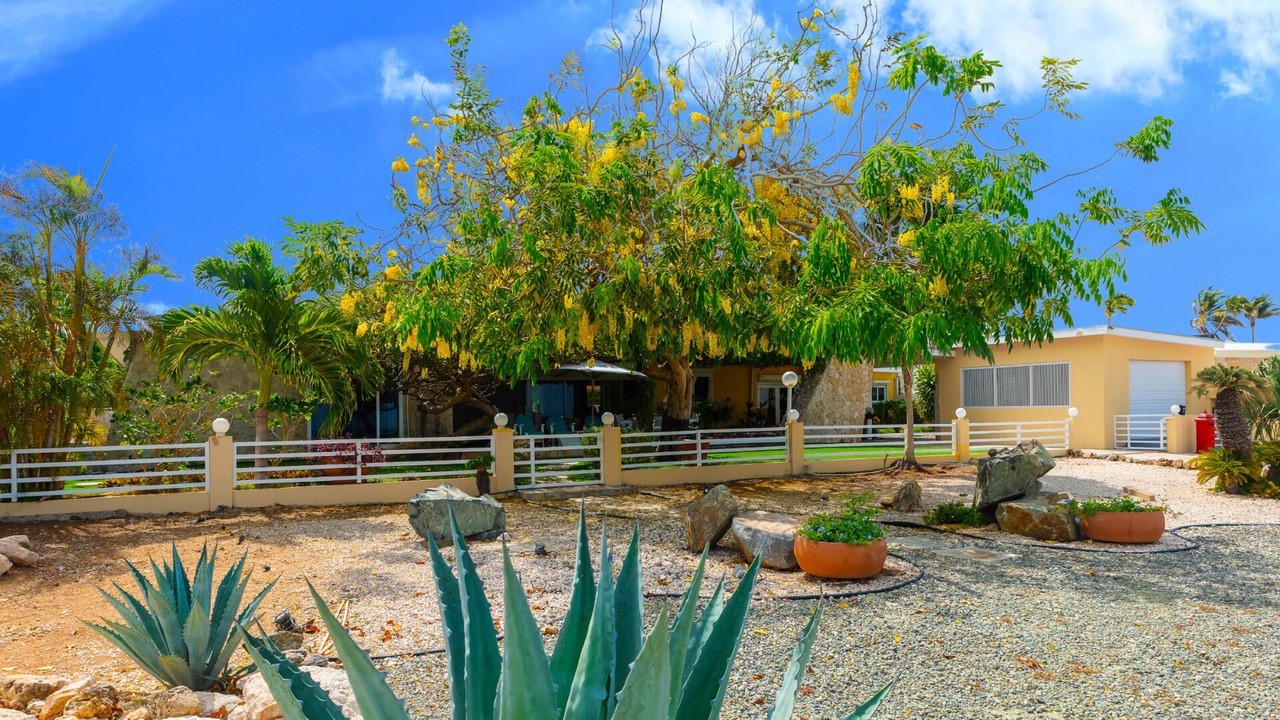 Photo of Outdoor in Hadicurari Beach