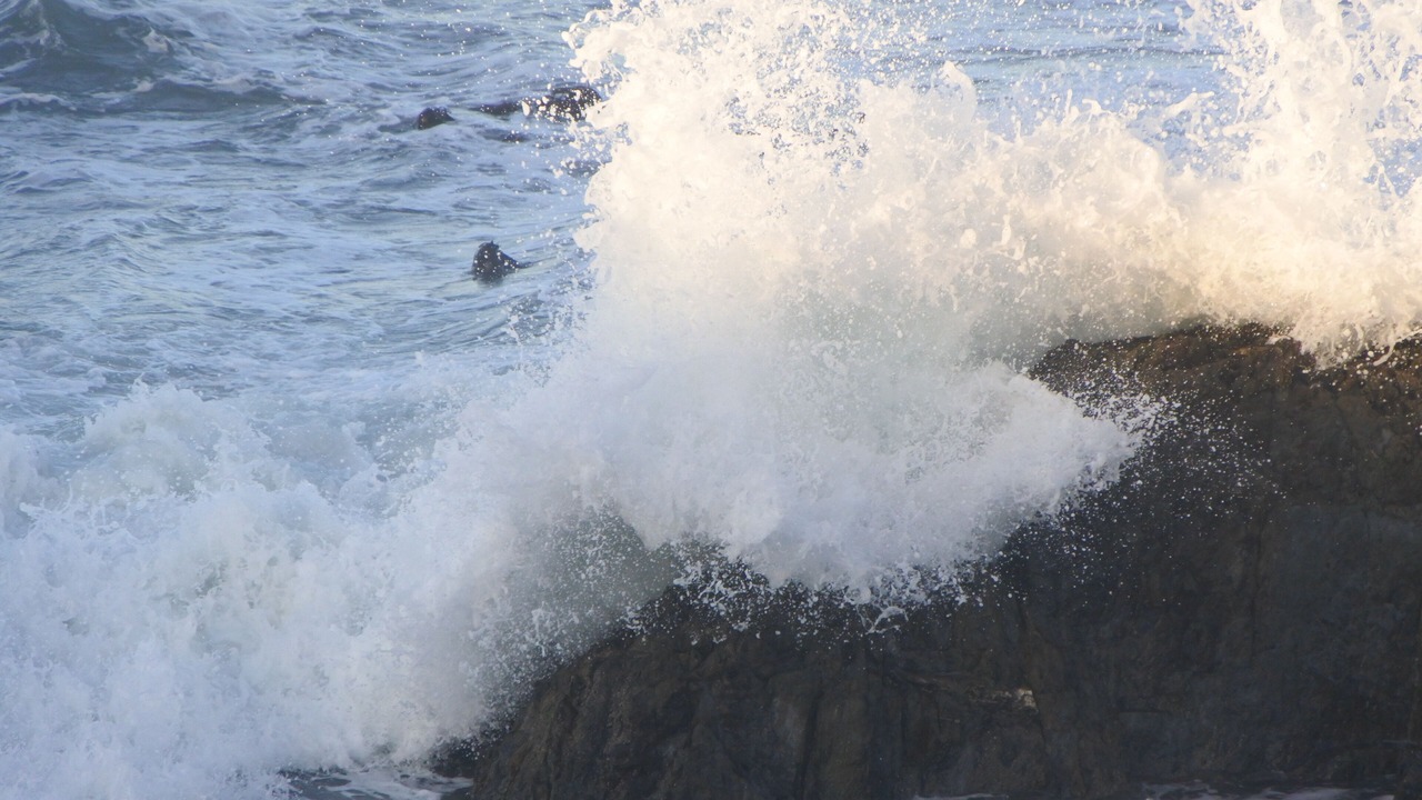 Photo of Others in Bloubergstrand
