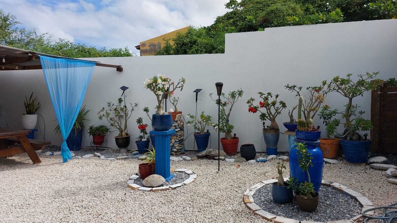 Photo of Outdoor in Oranjestad