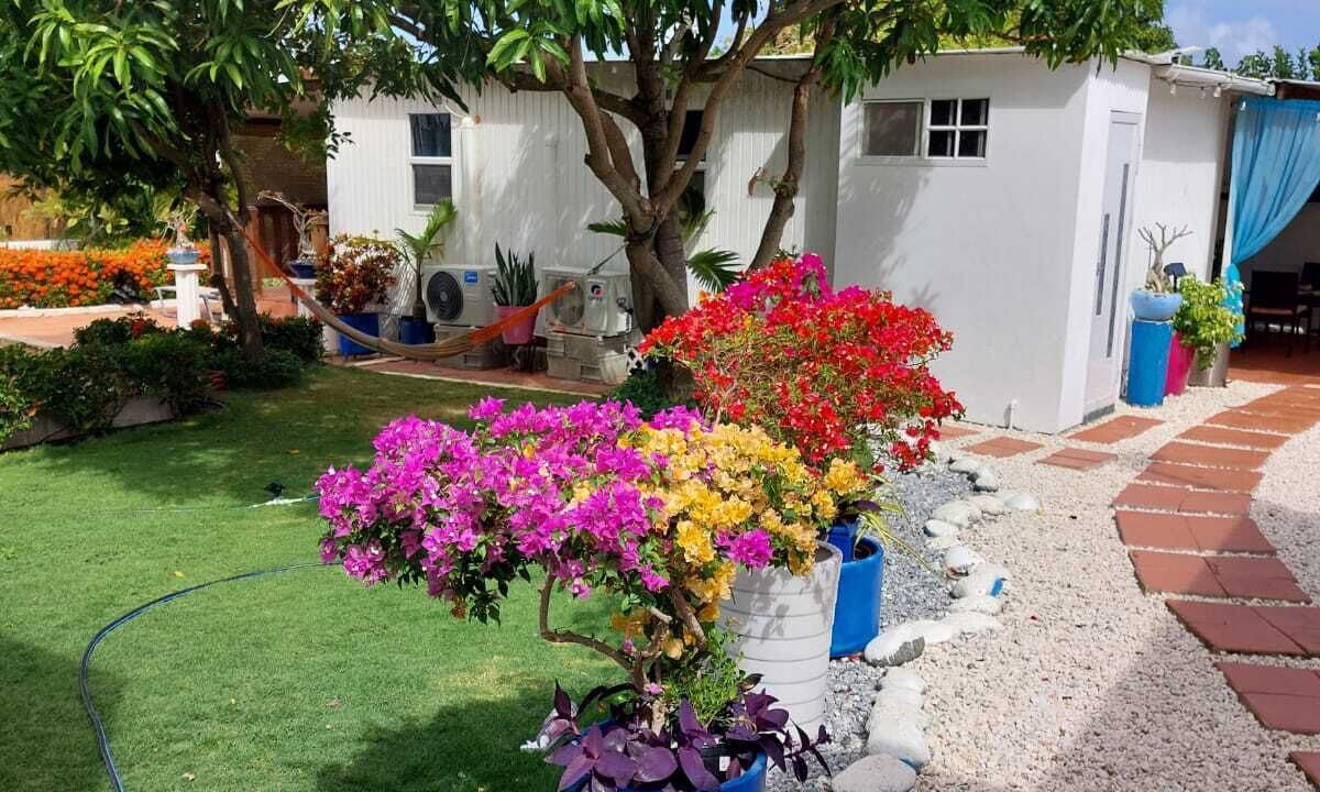 Photo of Outdoor in Oranjestad