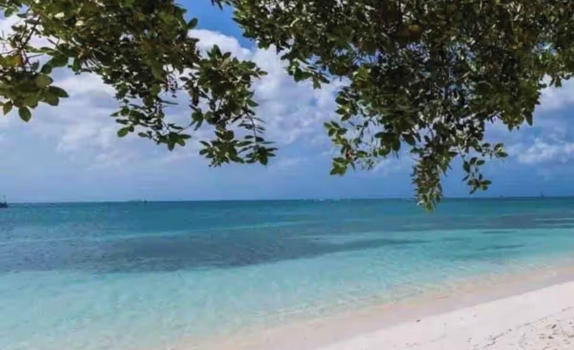 Photo of Others in Oranjestad