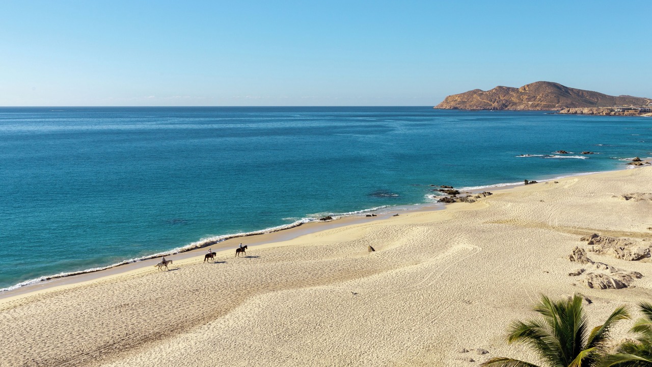 Photo of Others in Palmilla