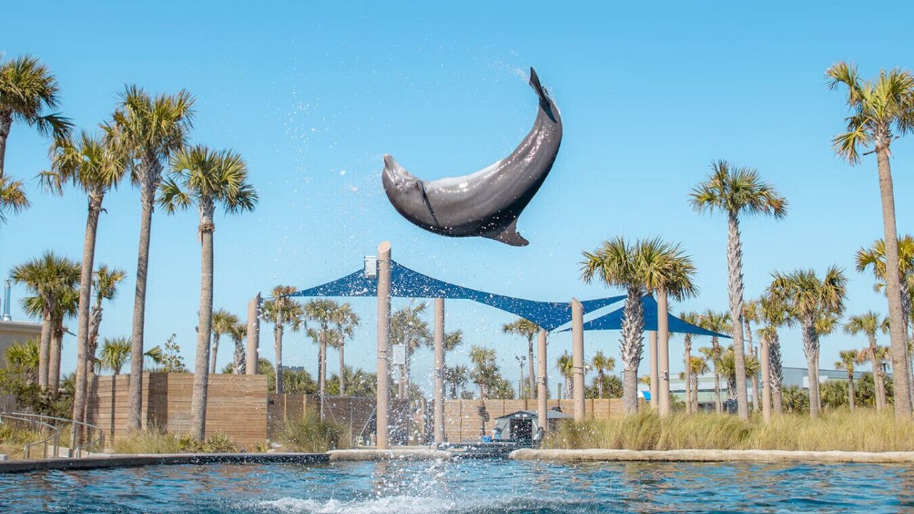 Photo of Others in Fort Walton Beach