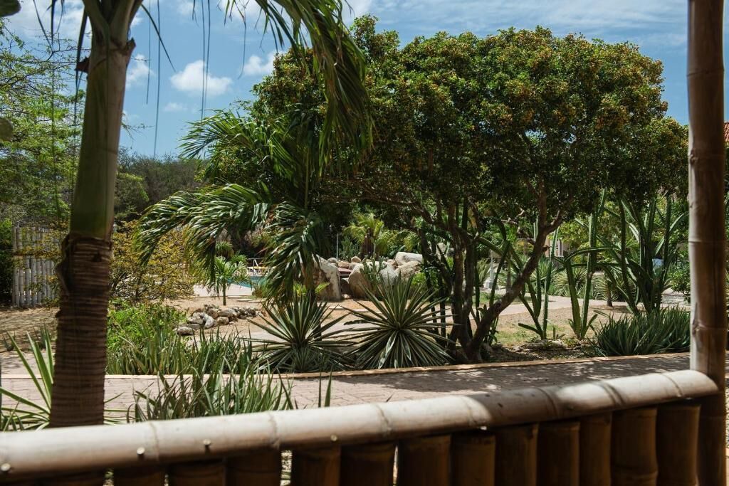 Photo of Outdoor in Oranjestad