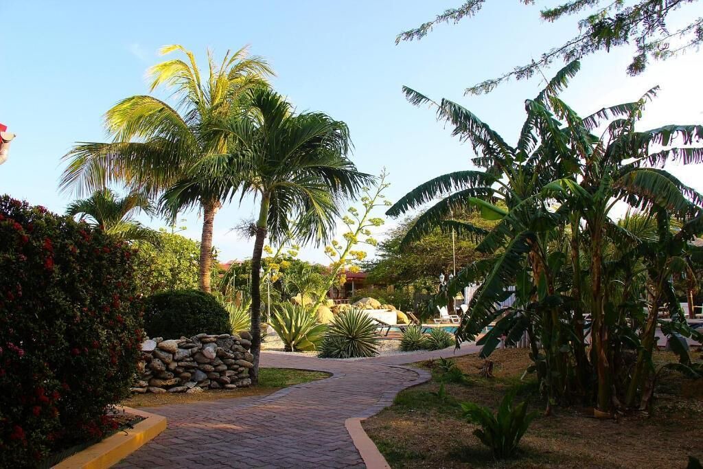 Photo of Outdoor in Oranjestad