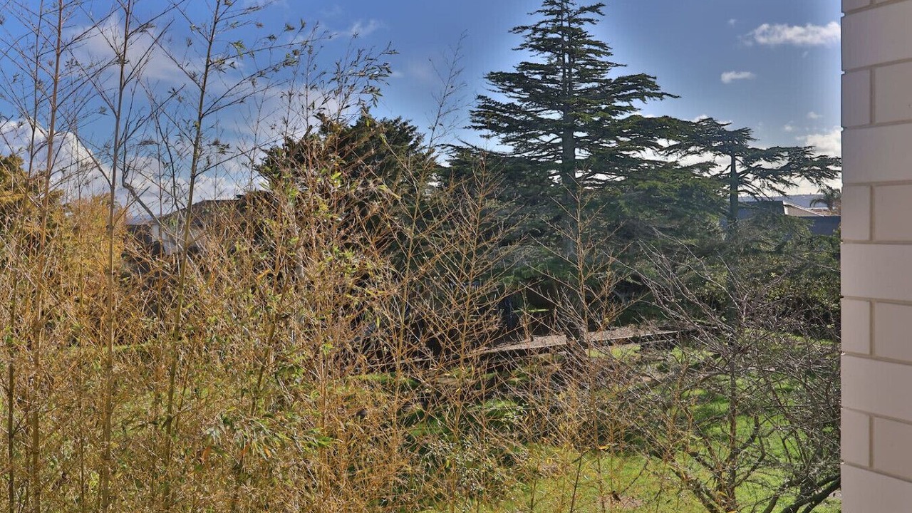 Photo of Outdoor in Mount Albert