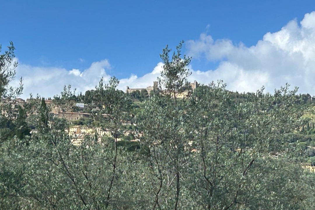 Photo of Others in Camucia