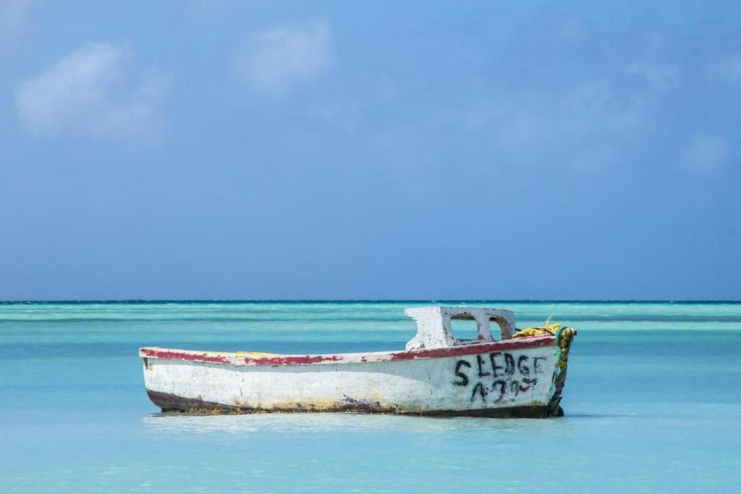 Photo of Others in Palm Beach