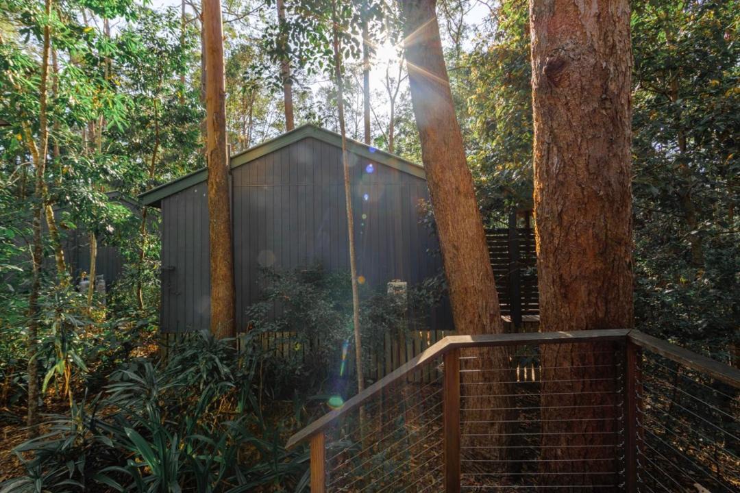 Photo of Others in Buderim