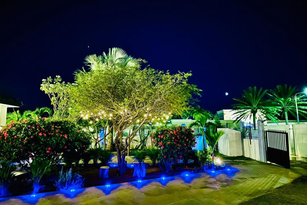 Photo of Others in Oranjestad-West