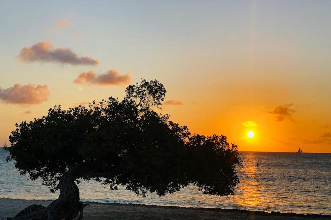 Photo of Others in Oranjestad