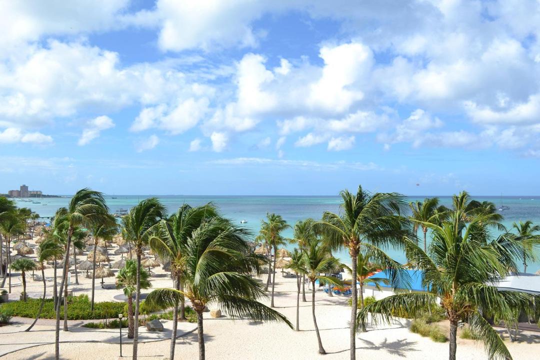 Photo of Others in Palm Beach