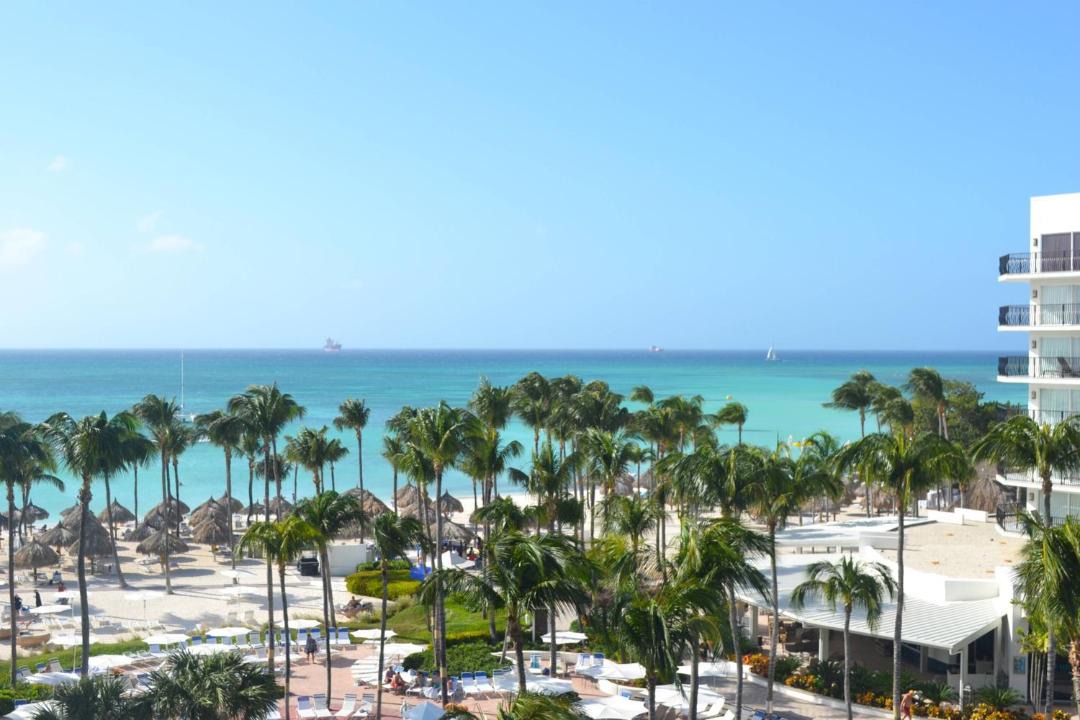 Photo of Others in Palm Beach