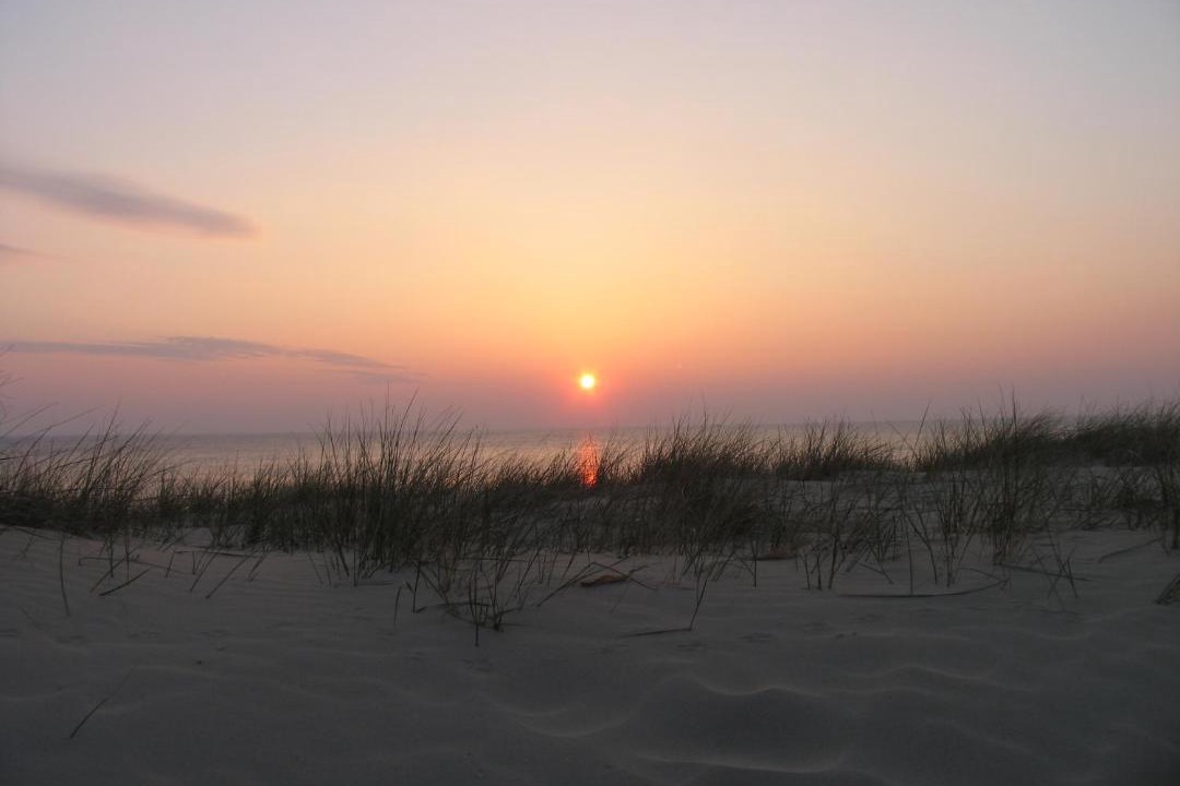 Photo of Others in Egmond aan Zee
