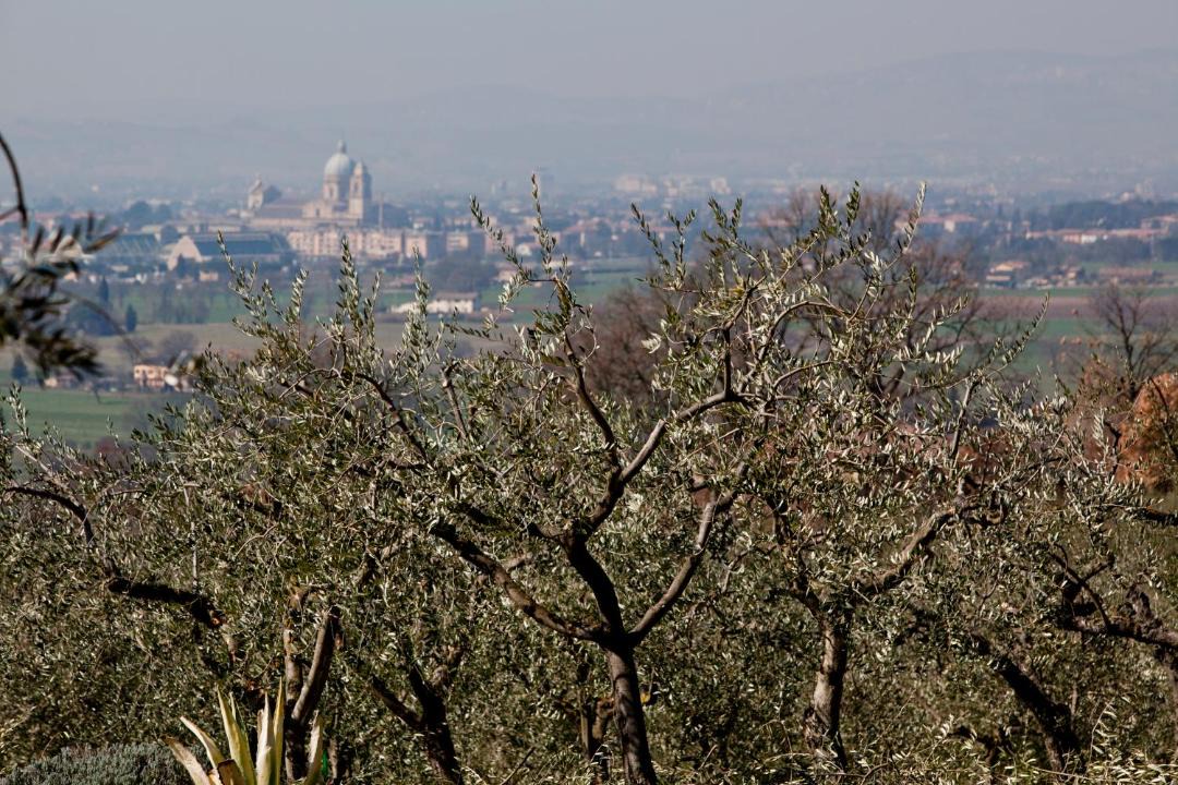 Photo of Others in Rivotorto