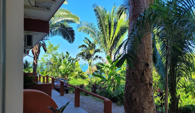Tiny Condo PB3- 1 bedroom, incredible views & huge pool at Vista Encantada!!