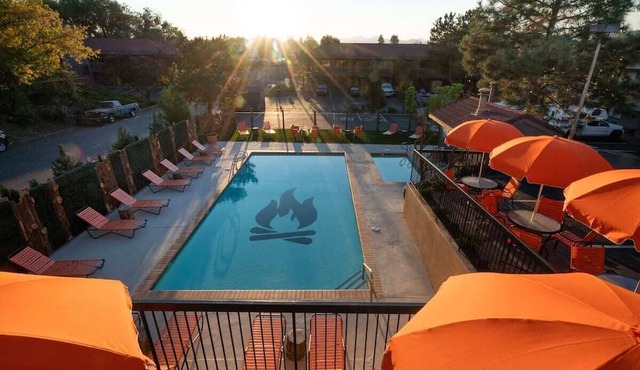 Just What You Were Looking For! With Pool, Free Parking, Dogs Allowed!